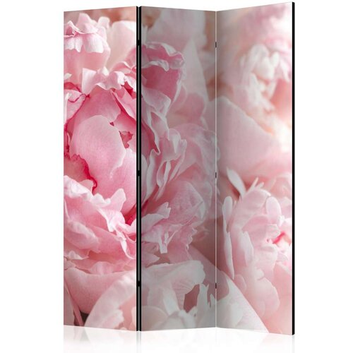  Paravan u 3 dijela - Sweet Peonies [Room Dividers] 135x172 Cijene