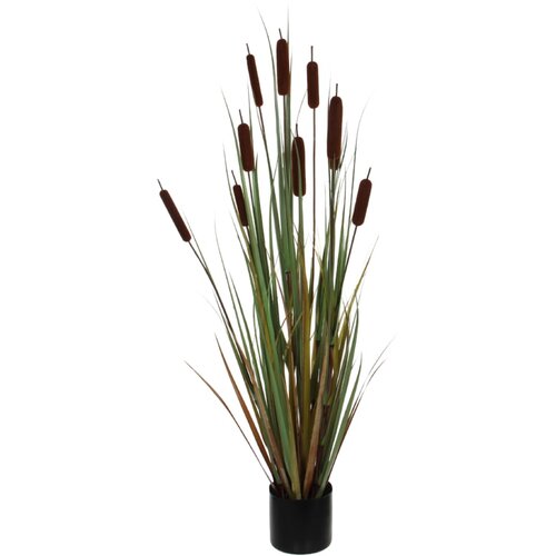 Umjetna biljka Rogoz (Visina: 120 cm, Smeđe boje, Plastika) Slike