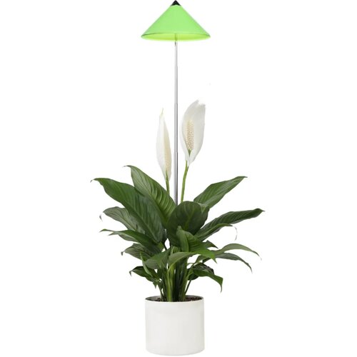 Venso Svetilka SUNLiTE 7W - zelena Cene
