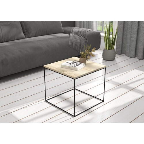ADRK Moderna kavna mizica ELENA 50x50 - RNA-SONOMA HRAST Slike
