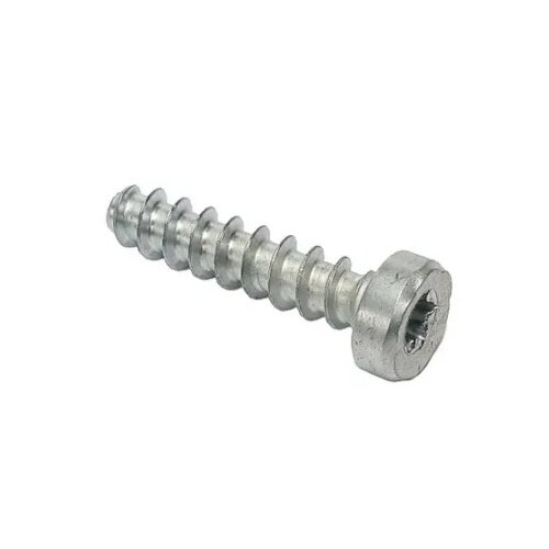 Stihl 9074 478 4545 Torx &amp;scaron;raf is-p6x26,5 ( 1407 ) Slike