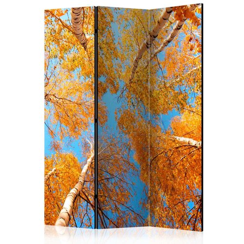  Paravan u 3 dijela - Autumnal treetops [Room Dividers] 135x172 Slike