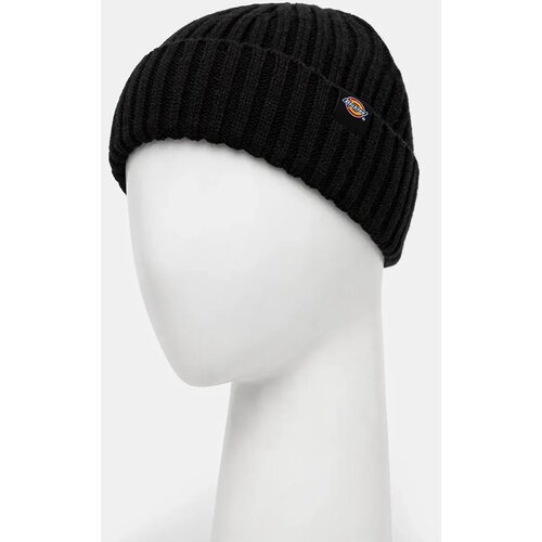 Dickies Kape s &amp;scaron;iltom DK0A4Z2OBLK1 Črna Slike