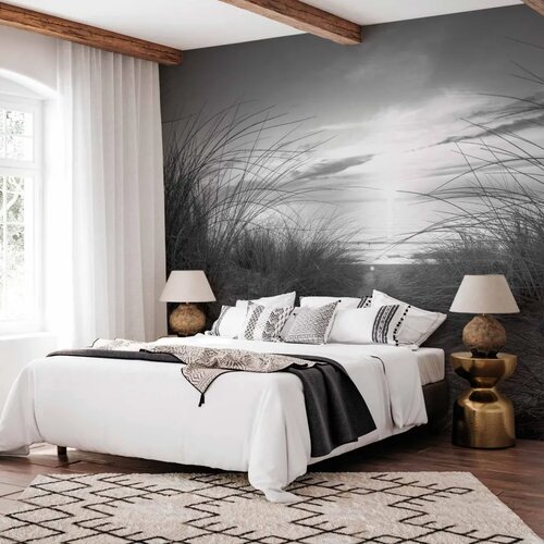  Foto tapeta - beach (black and white) 350x256 Cene