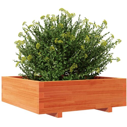  Vrtna sadilica vo&amp;scaron;tano smeđa 80 x 80 x 26,5 cm masivna borovina Slike