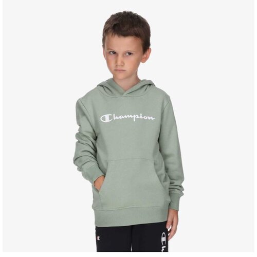 Champion Hooded sweatshirt Cene