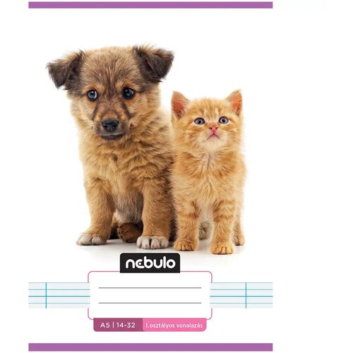 NEBULO spajalica bilježnica s crtama za 1. razred s uzorkom psa i mačke 14-32 A/5 Cijene