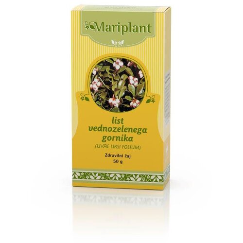  Mariplant List vednozelenega gornika, zdravilni čaj Slike