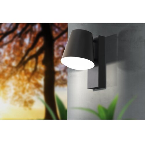 Eglo Caldiero-c vanjska/zidna/1, led, e27, 9w, antracit/bijela Slike