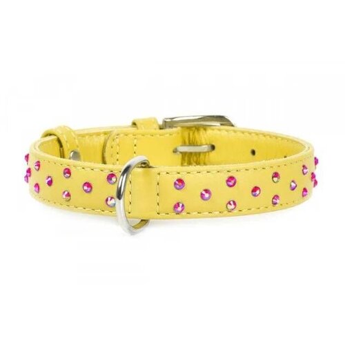 CLR WD Žuta A2202535-Ogrlica za pse 30–39 cm Cene