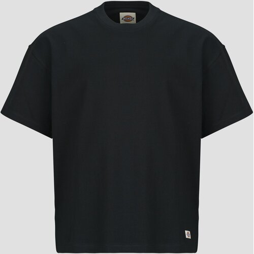 Dickies MINERAL HEAVYWEIGHT SS TEE BLACK Crna Slike