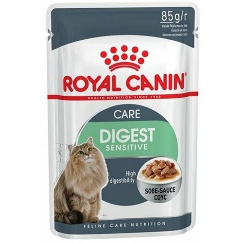 Royal Canin hrana za mačke digestive care 85g Slike