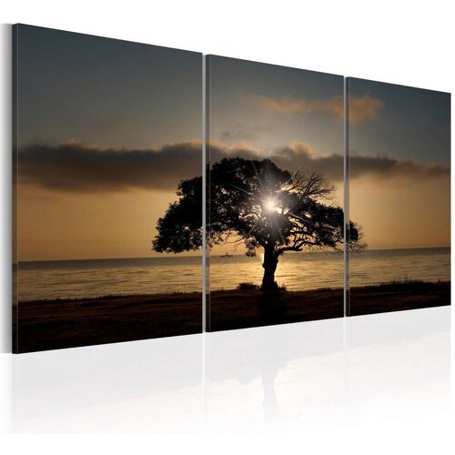  Slika - Extraordinary Nature 120x60 Slike