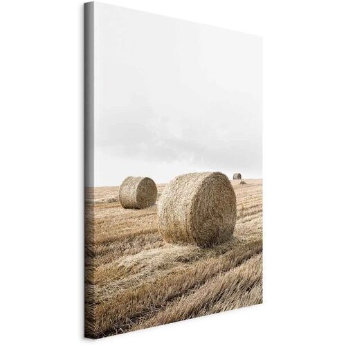  Slika - Hay (1 Part) Vertical 60x90 Na talijanskom platnu Cijene