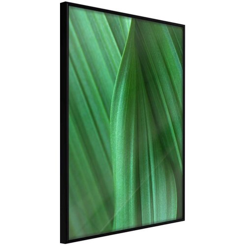  Poster - Leaf Structure 40x60 Slike