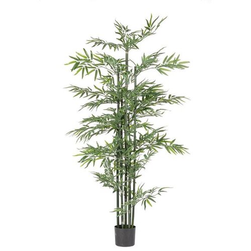  BAMBUS 190CM U SAKSIJI PVC BIZZOTTO Cijene