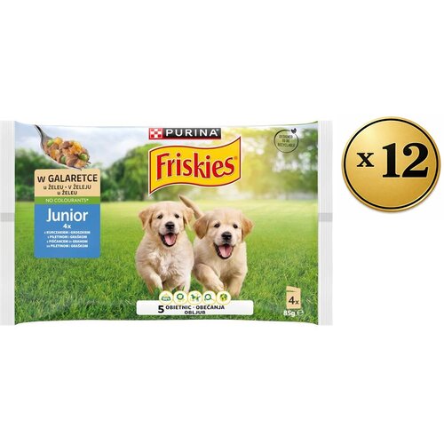 Friskies Vlažna hrana za pse junior dog prelivi u sosu Piletina, 48x85g Cene