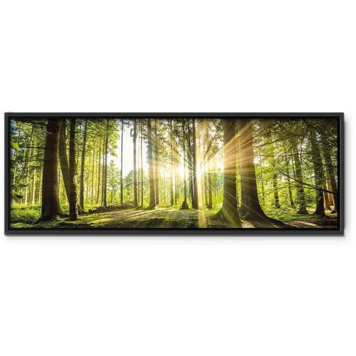  Slika - Daylight 150x50 U crnom drvenom okviru Slike
