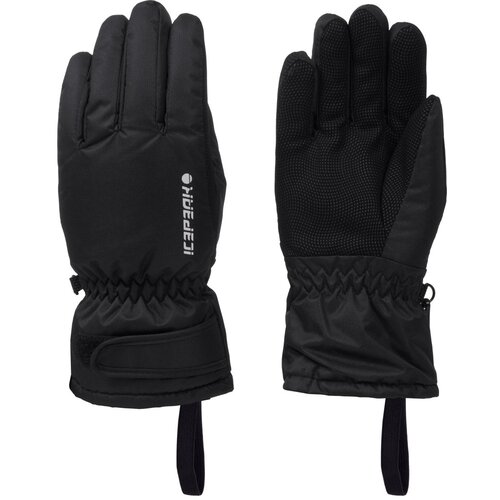 Icepeak ski rukavice 5 prstiju HAYDEN JR crna M M Cijene