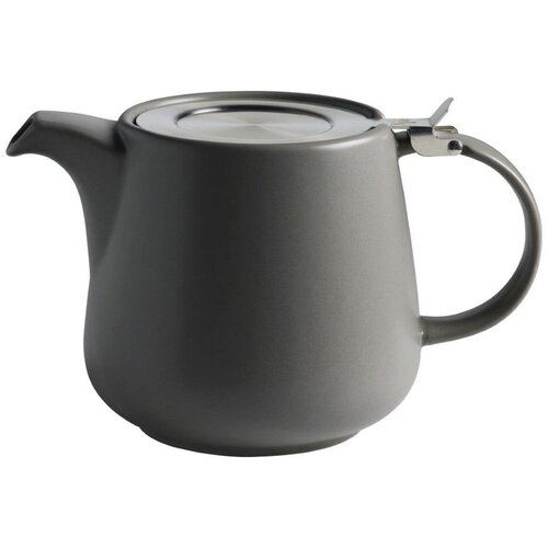 Maxwell williams Temno siv porcelanast čajnik s cedilom Tint, 1,2 l Cene