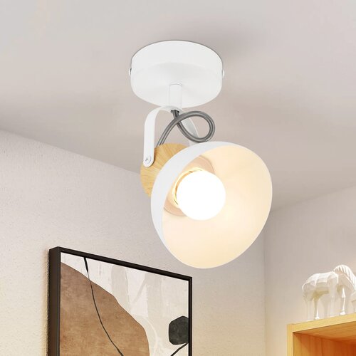 Nettlife Vintage črna stropna svetilka E27 nastavljiva svetilka za hodnik retro industrijska kovinska nastavljiva, (22116873) Cene