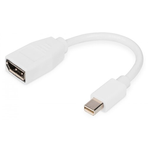 Digitus Adapter mini DisplayPort na DisplayPort 0.15m Cijene