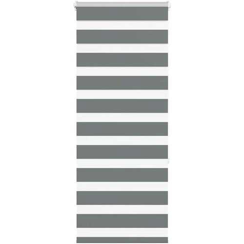 vidaXL Zebra senčilo temno sivo 55x150 cm tkanina širina 50,9 cm Cene