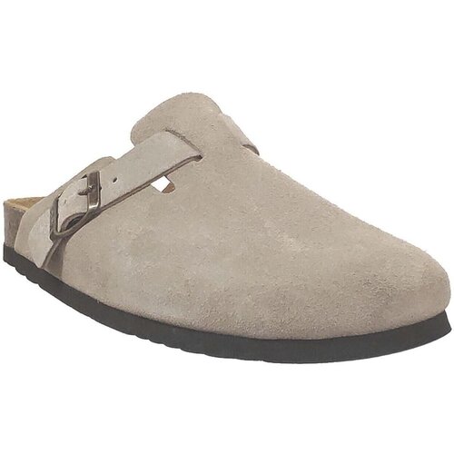 Scholl Olivier new Bež Slike