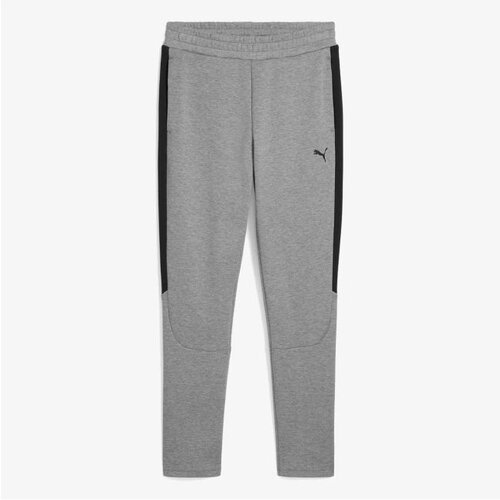 Puma evostripe core pants Cene
