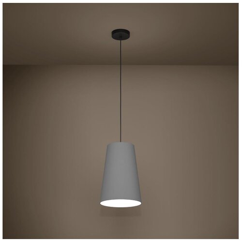 Eglo 390135 -  visilica na sajli petrosa 1xE27/40W/230V siva Cene