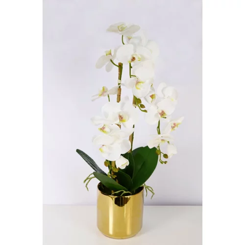 V Orhideja v lončku (80 cm, bela)