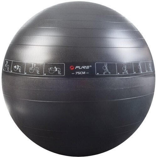 Pure2Improve Exercise Ball 75cm Cene