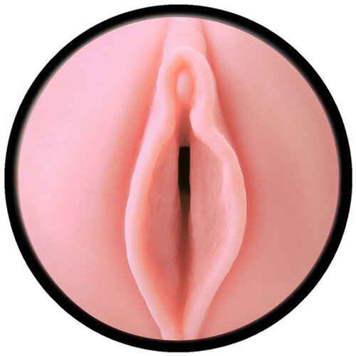 Fleshlight Masturbator - Pink Lady Destroya Slike