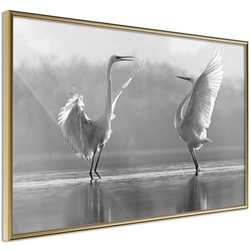  Poster - Black and White Herons 60x40 Slike