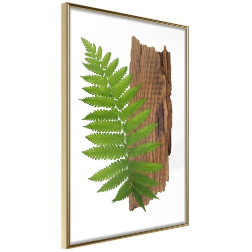  Poster - Expressive Ferm 30x45 Cene