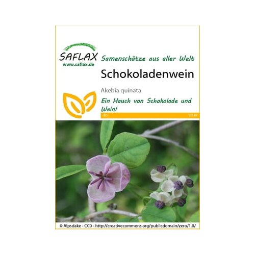 Saflax Čokoladna akebija Cene