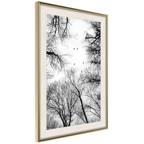  Poster - Treetops 20x30 Slike