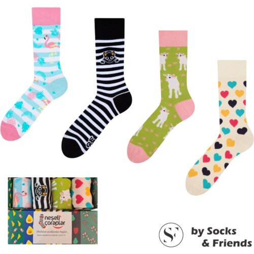 Socks & Friends Set Čarapa 4/1 Girly Cene