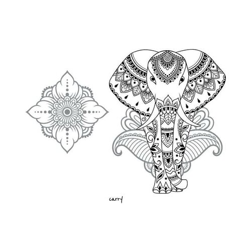 Carry Bottle Elephant Slike