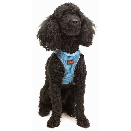 Paws & Whiskers Am za pse Air-Mesh, Plavi Cene