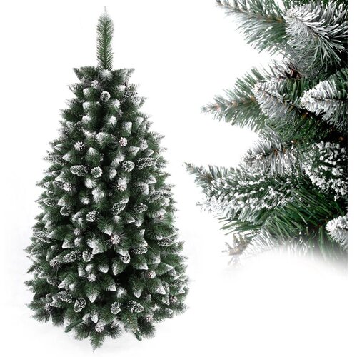  Božićna jelka TAL 250 cm bor Slike