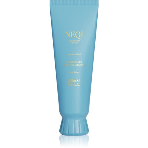 NEQI Build Boost Conditioner krepilni balzam za barvane lase in lase s prameni 250 ml Cene