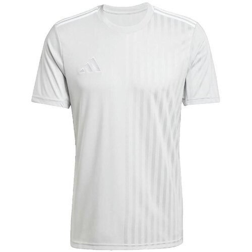 Adidas Majice s kratkimi rokavi T-shirt Campeon 25 gris Siva Cene
