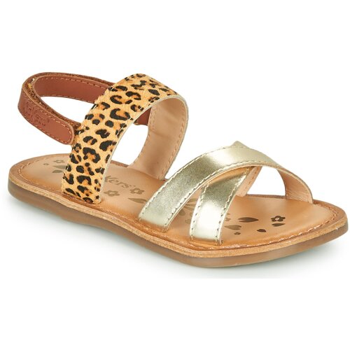 Kickers dyacross gold Cijene