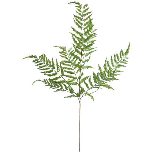 Atmosphera UMJETNA BILJKA PAPRAT JAMES 90 CM PE ZELENA Cijene