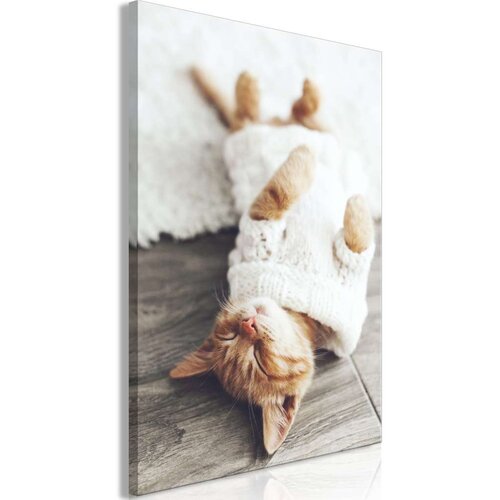  Slika - Lazy Cat (1 Part) Vertical 40x60 Slike