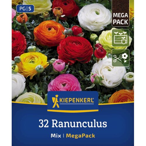 KIEPENKERL Perzijska zlatica - mega pakiranje - 32 k. Slike