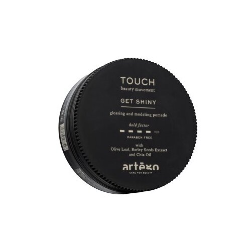 Artègo Touch Get Shiny Glossing And Modeling Pomade pomada za kosu za sjaj kose 100 ml Cene