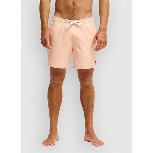 Quiksilver Stretch Printed Volley 16 Boardshorts strerling blue beach daze Cene