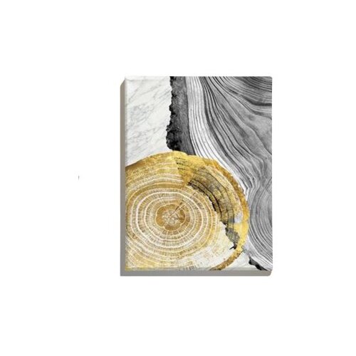 Wallxpert Dekorativna slika ASR_CNV25 50 50 x 70 Slike